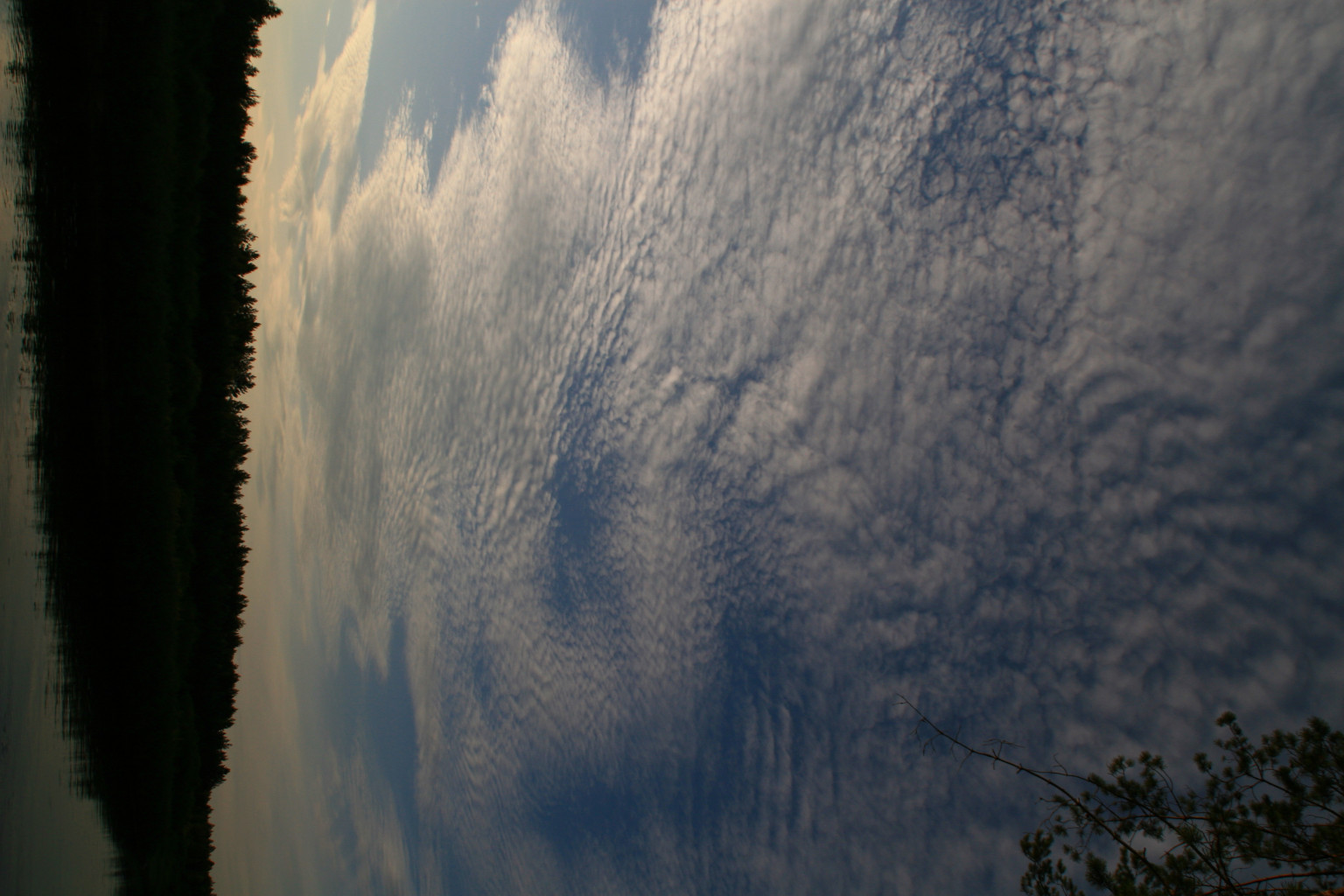 IMG 8577.JPG