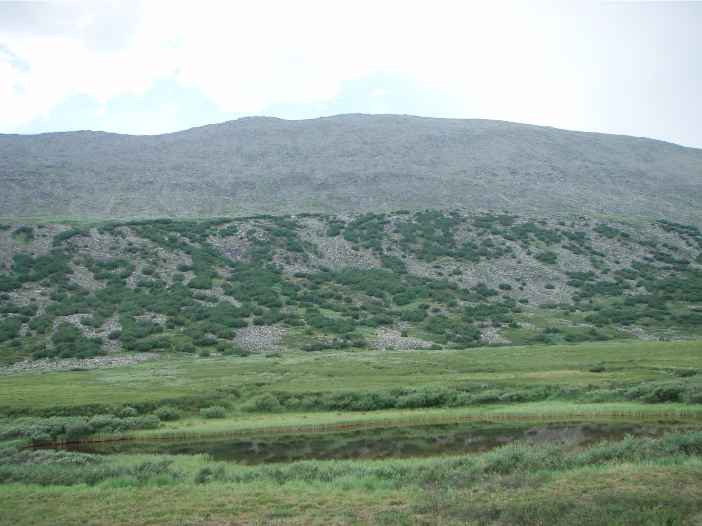 P1010020.JPG