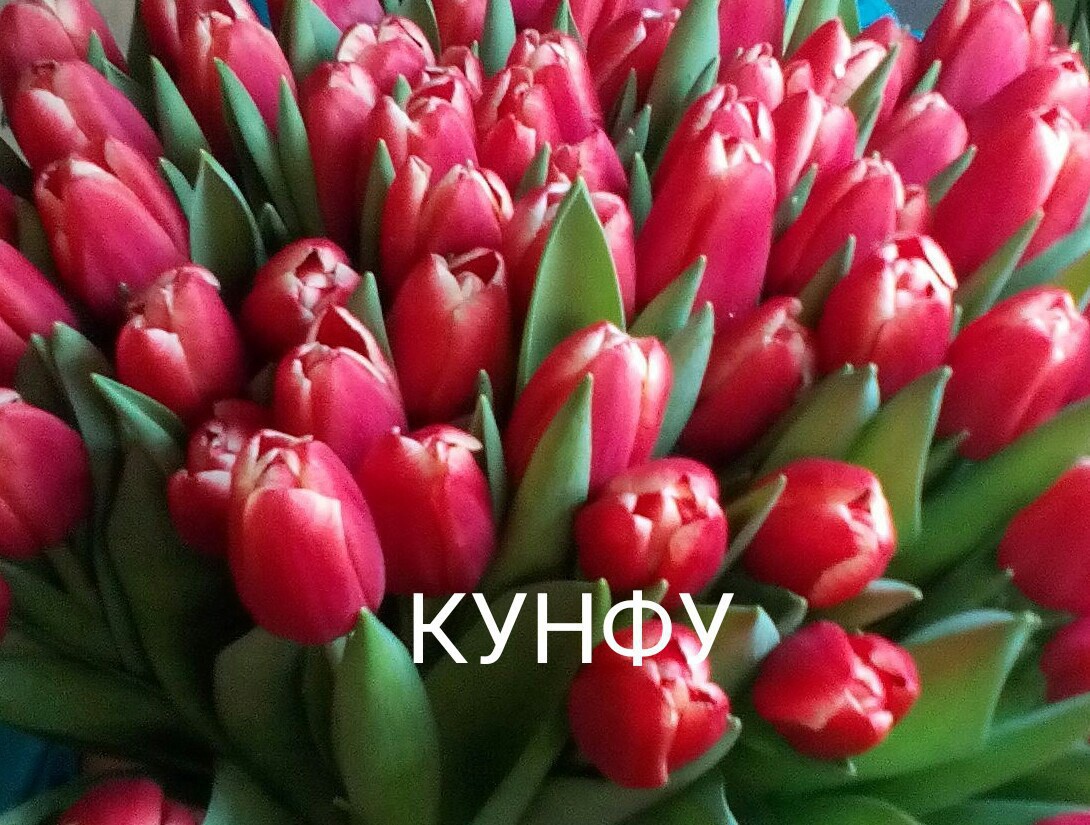 S5yJt0IW4Jo.jpg