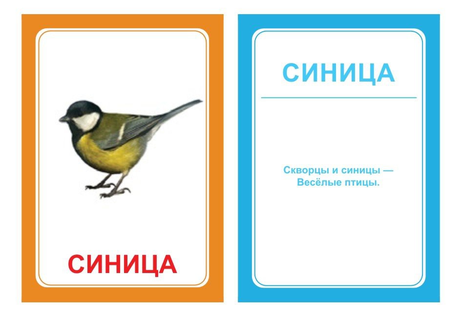 ЛОГОПЕДИЧЕСКИЕ КАРТОЧКИ 