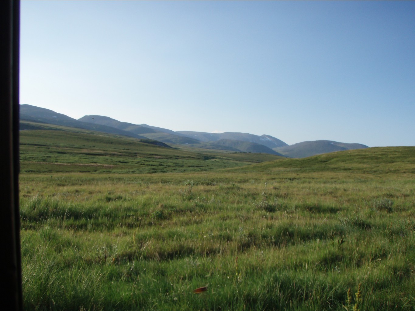 P1010034.JPG