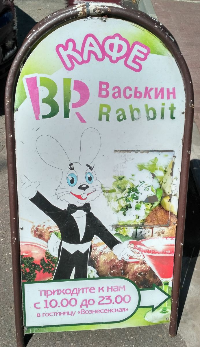   Rabbit