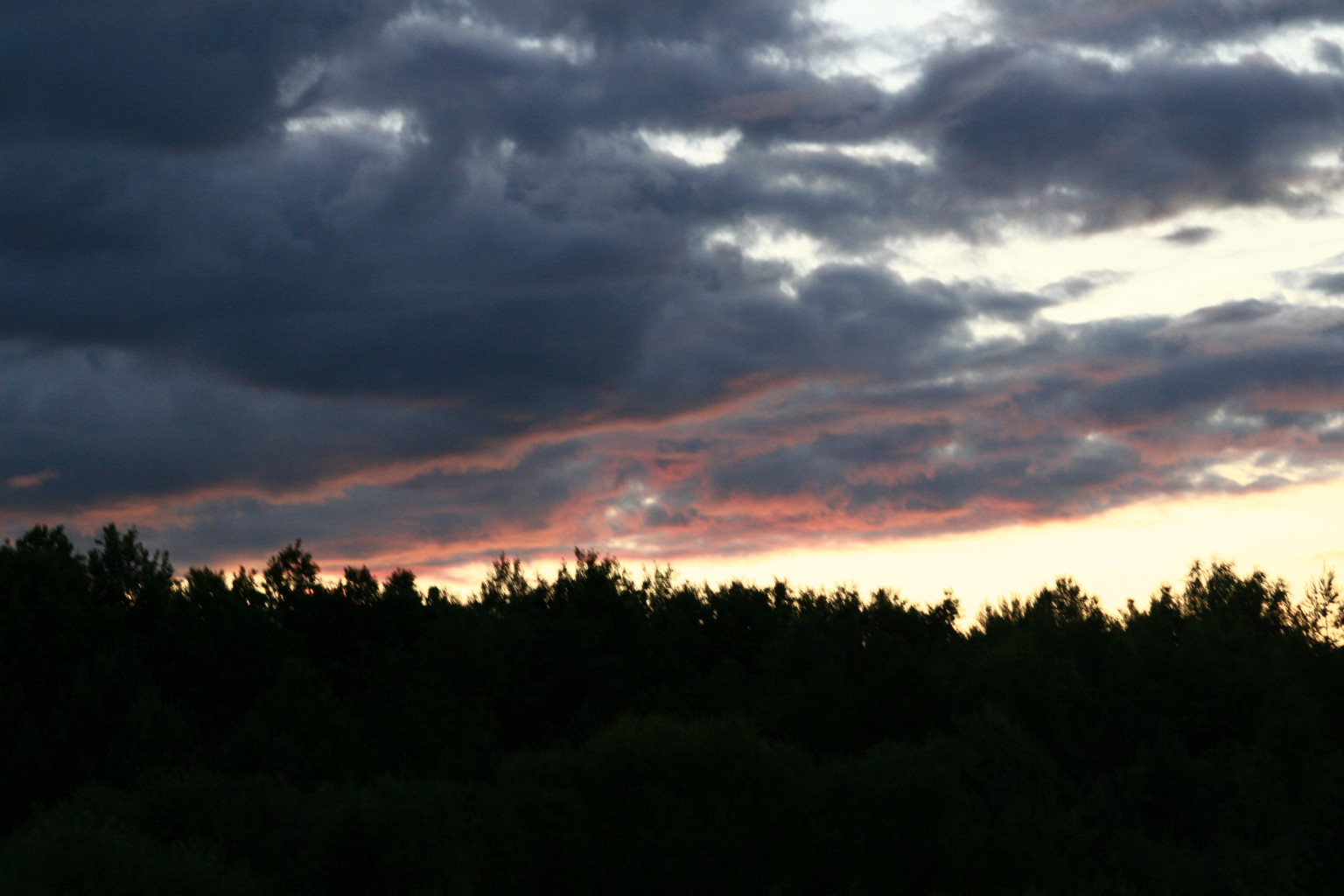 IMG 8558.JPG