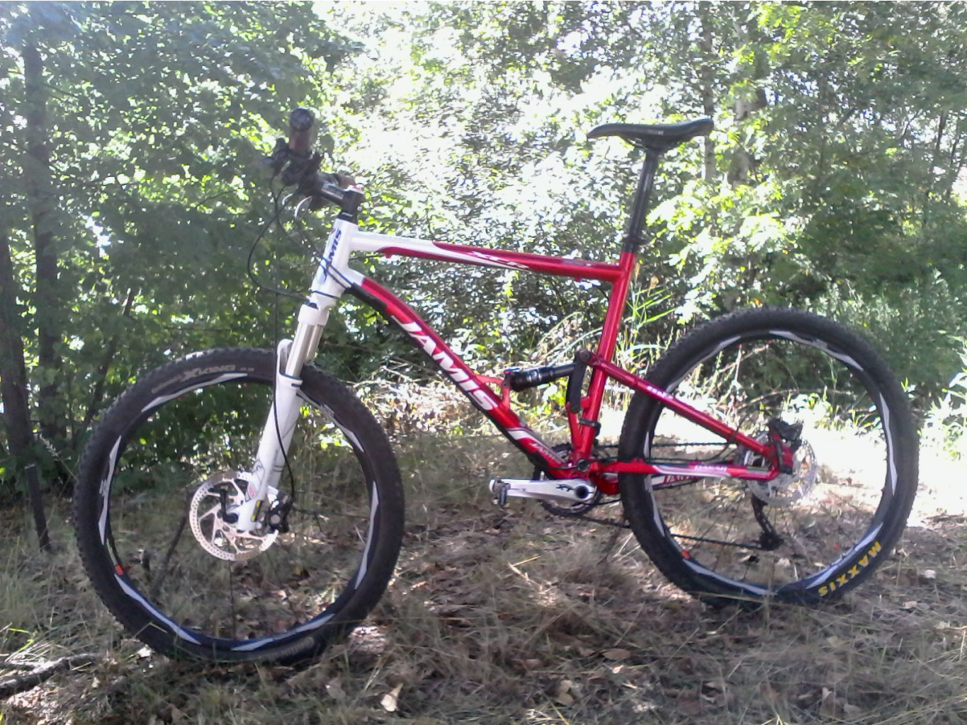 IMG00017.jpg