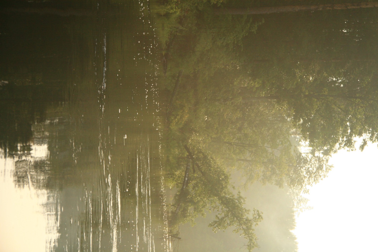 IMG 8397.JPG