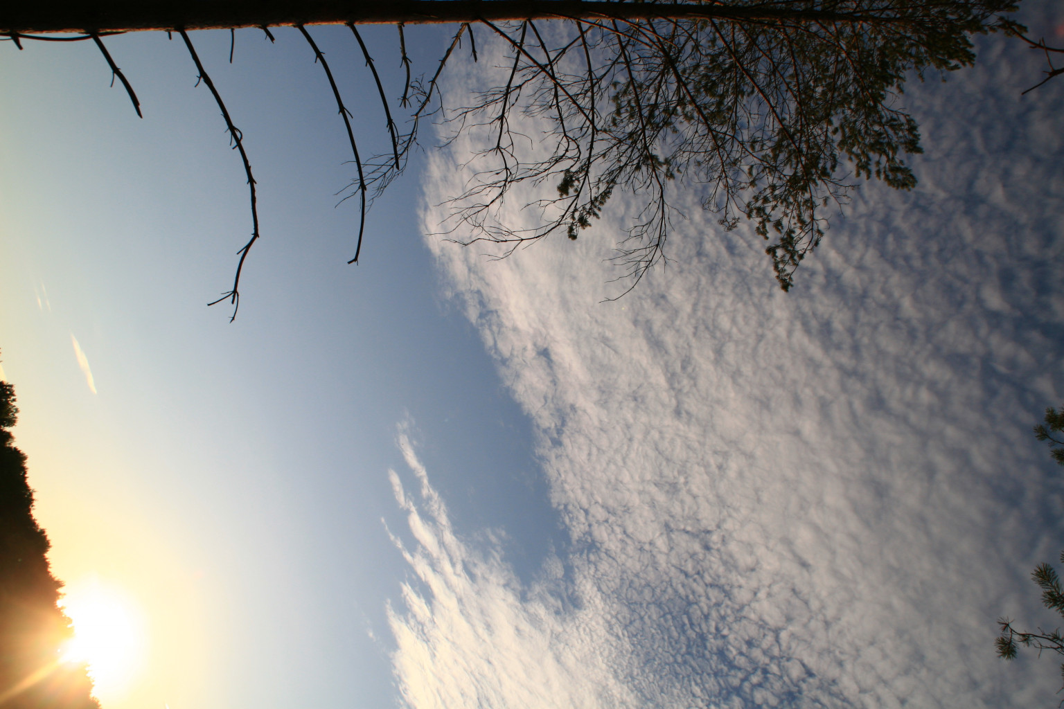 IMG 8575.JPG