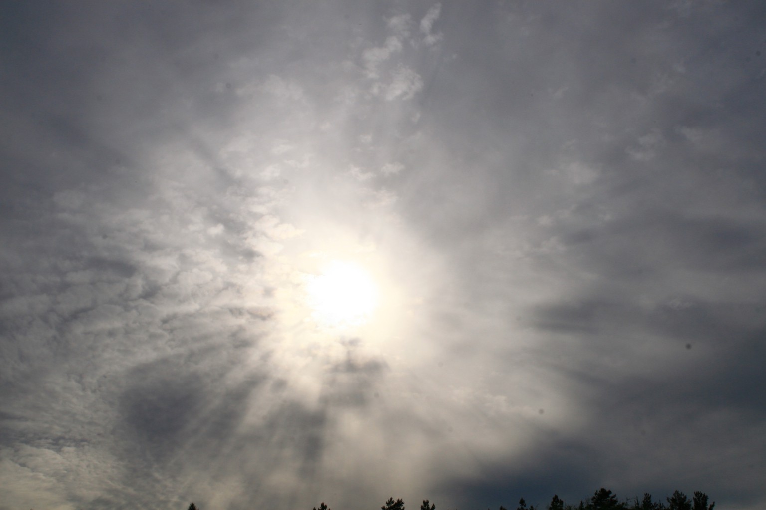 IMG 8537.JPG