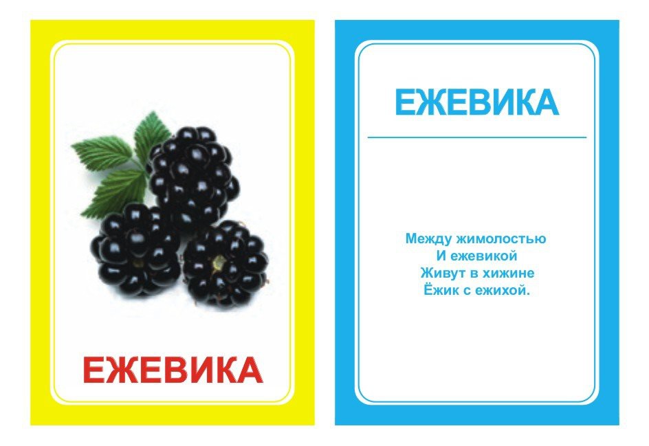 ЛОГОПЕДИЧЕСКИЕ КАРТОЧКИ 