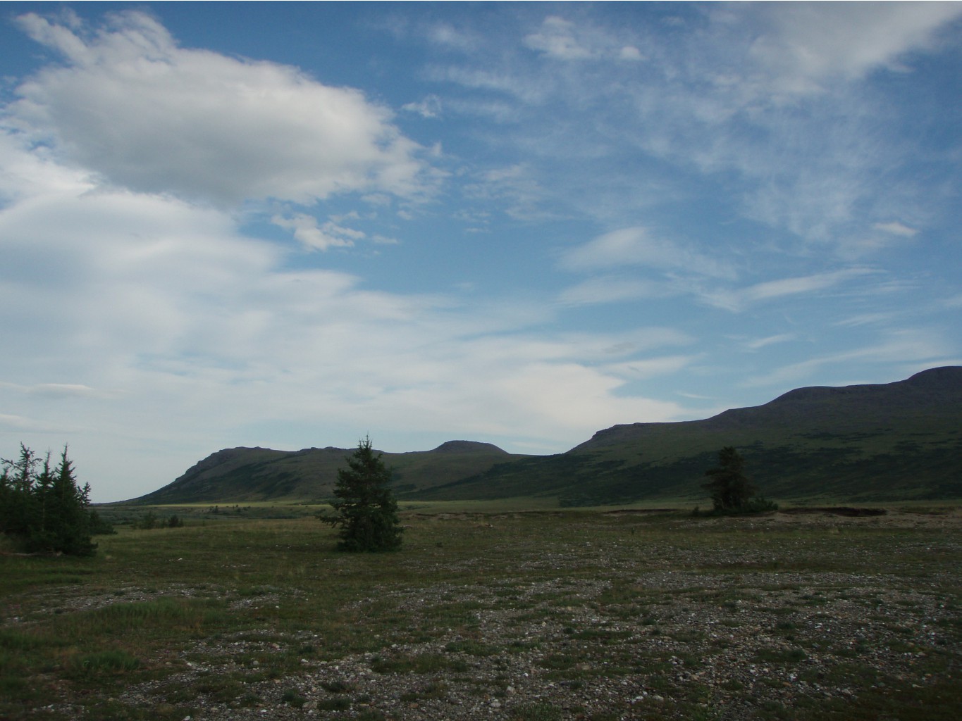 P1010081.JPG