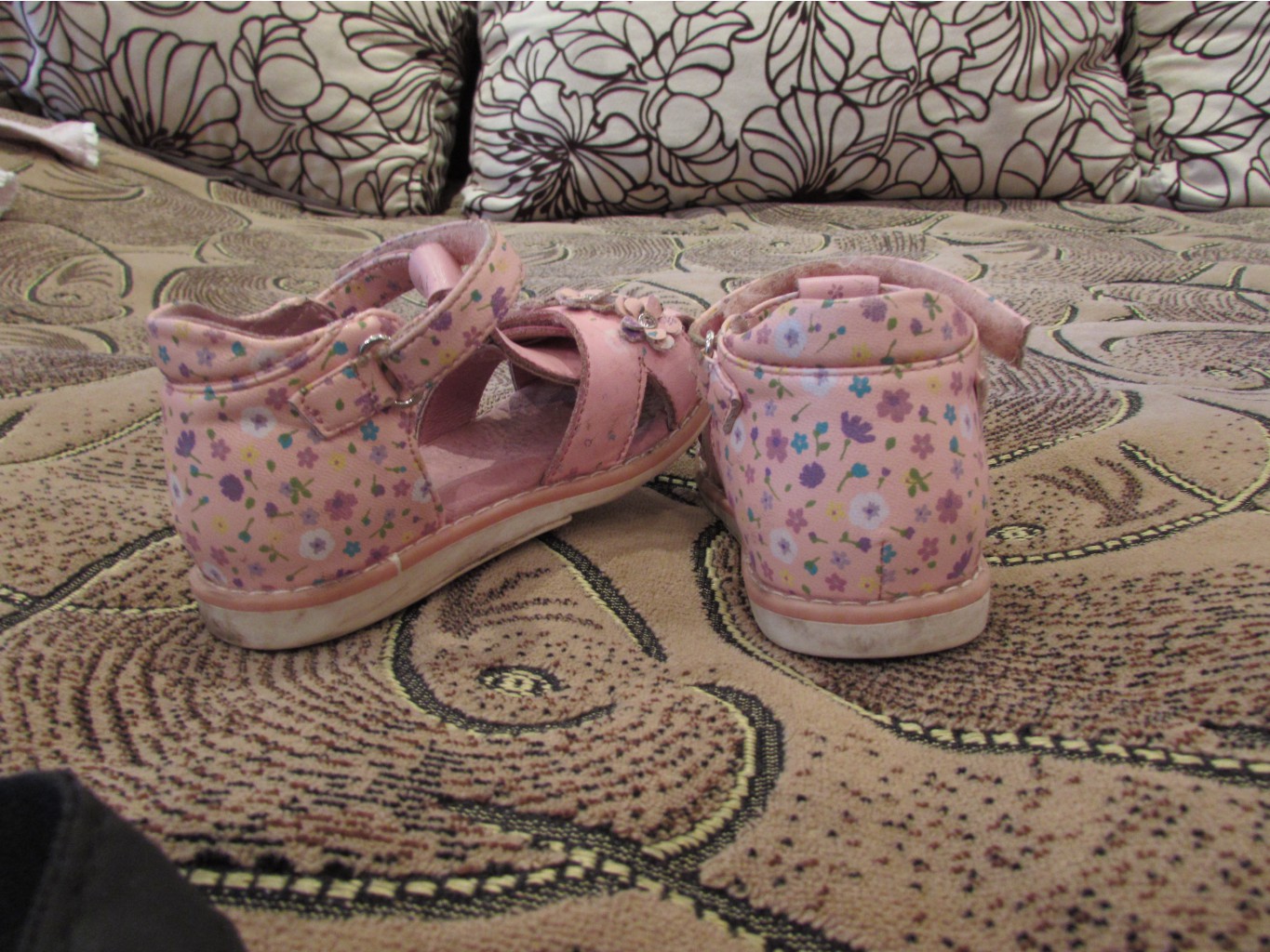 IMG 3001.JPG