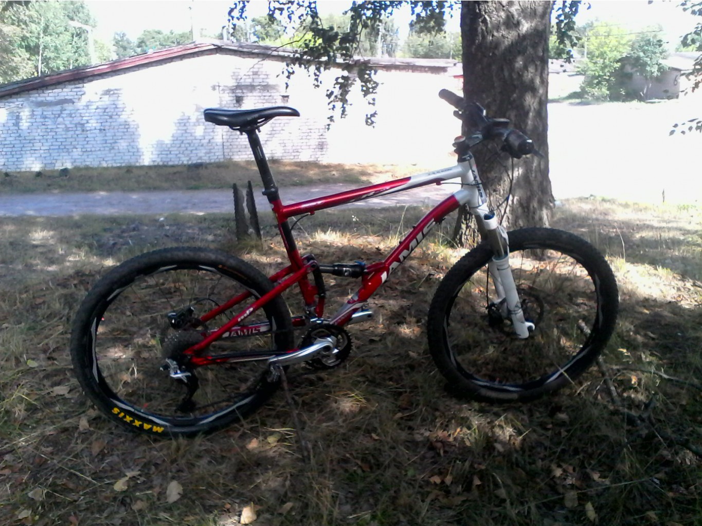 IMG00018.jpg