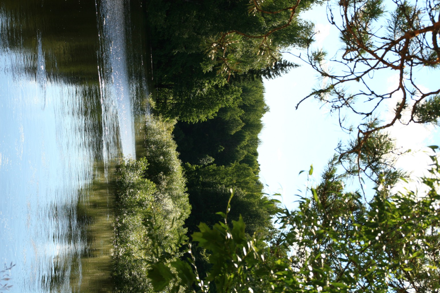 IMG 8425.JPG