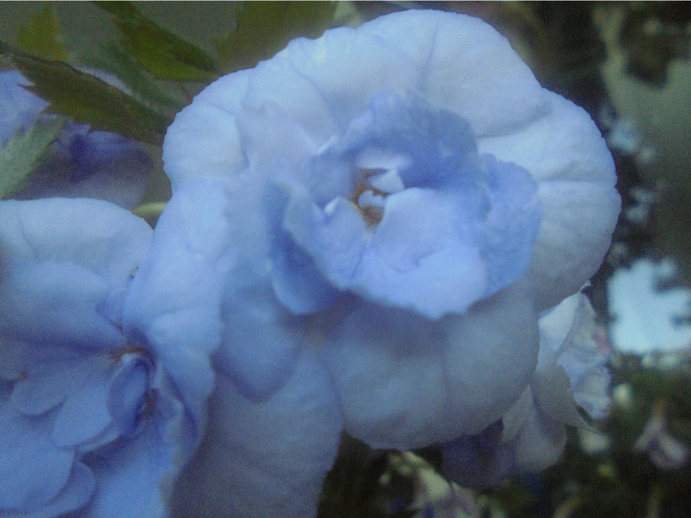 DSC06368.JPG