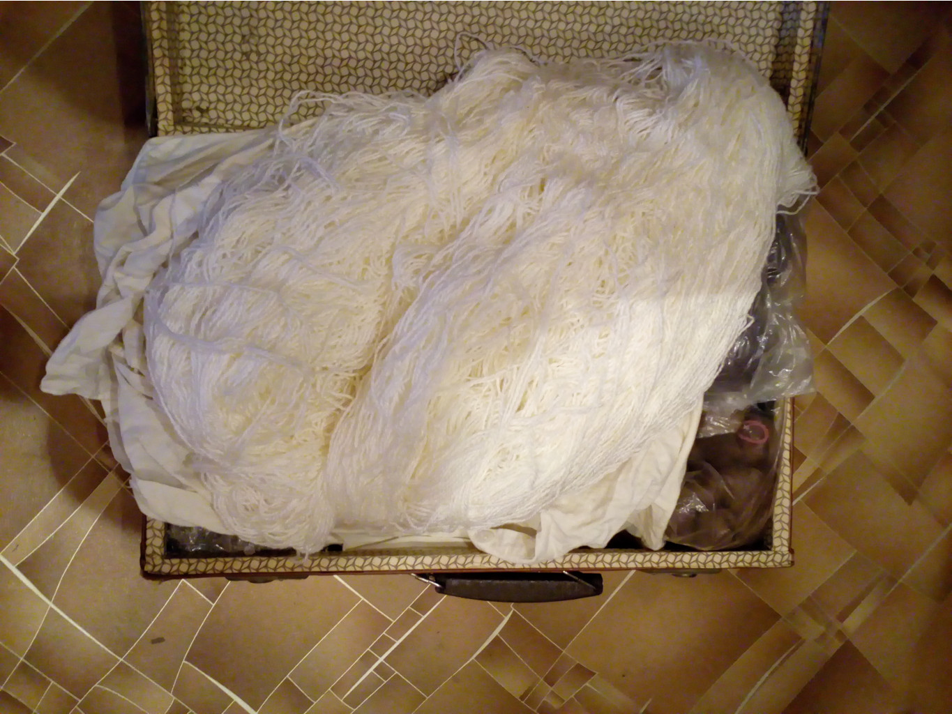 IMG 20170710 103512.jpg