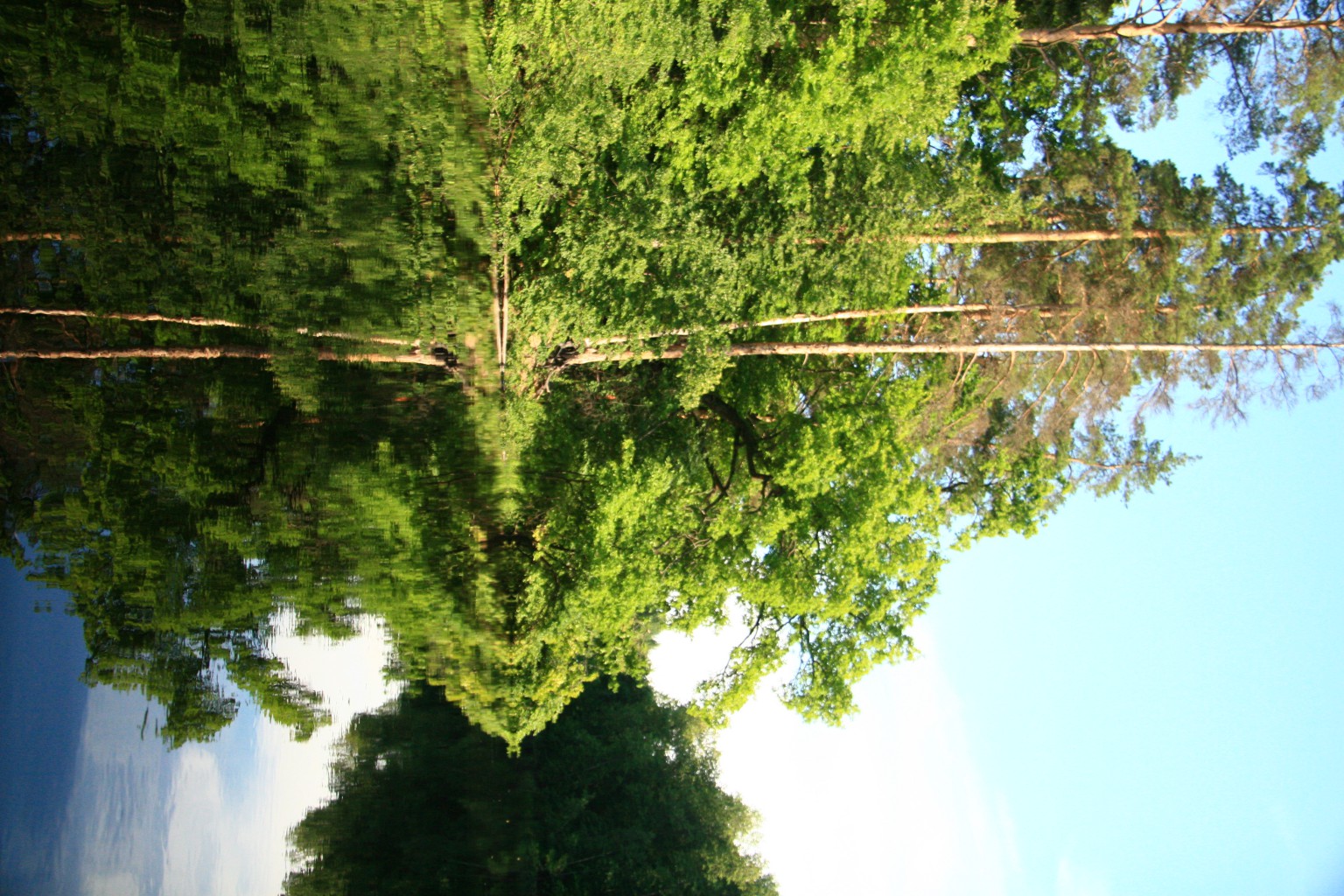 IMG 8388.JPG