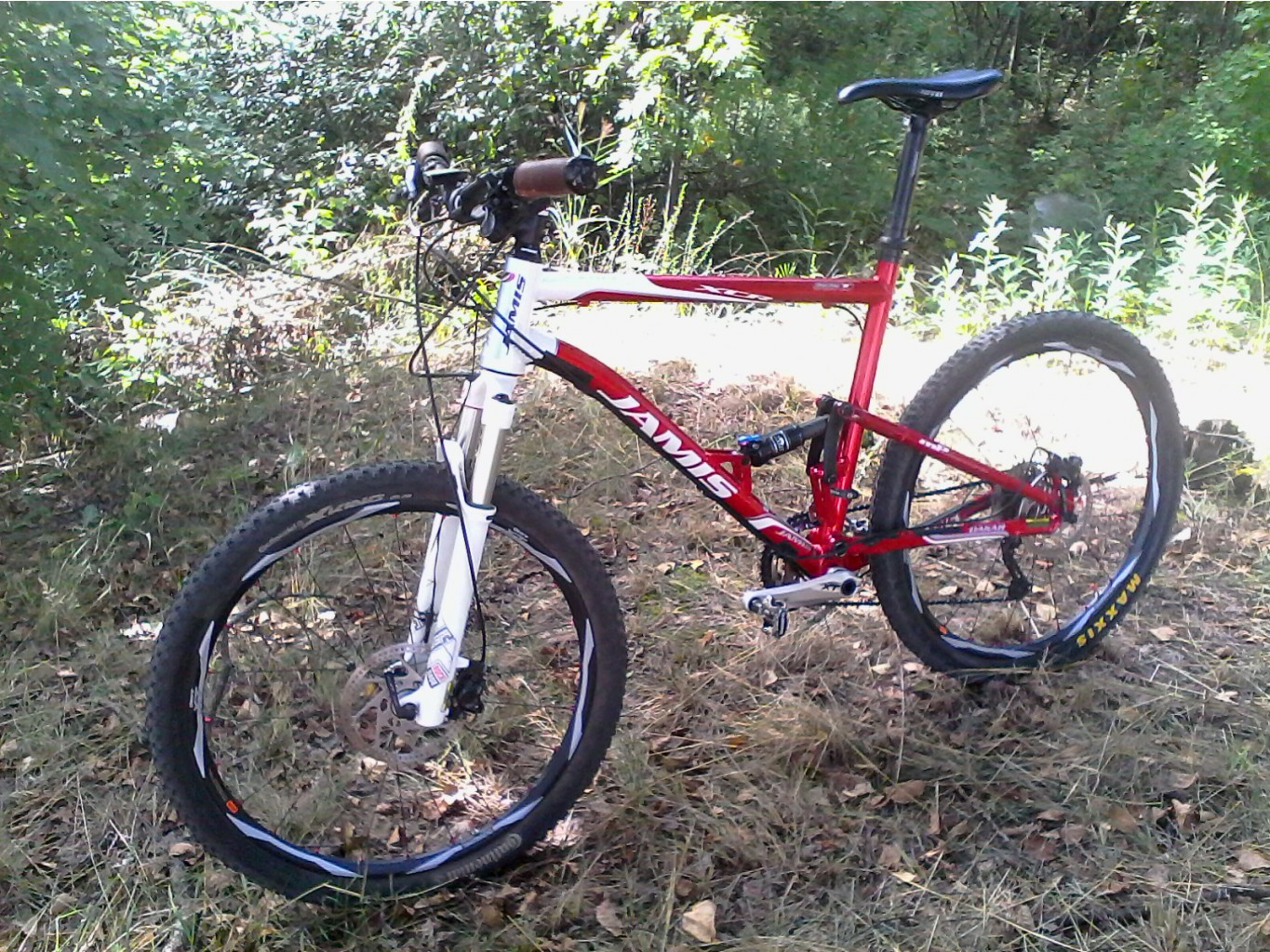 IMG00025.jpg