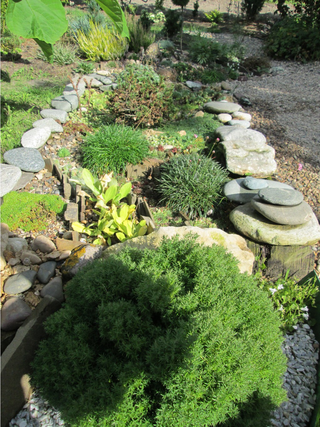 IMG 5080.JPG