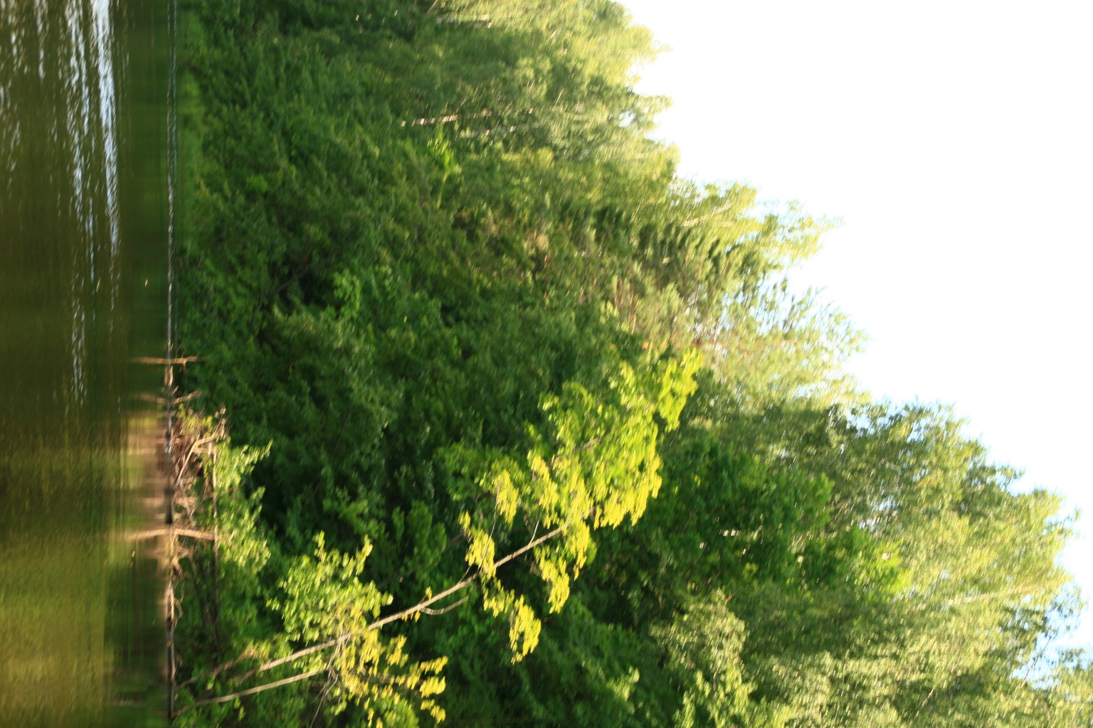 IMG 8462.JPG