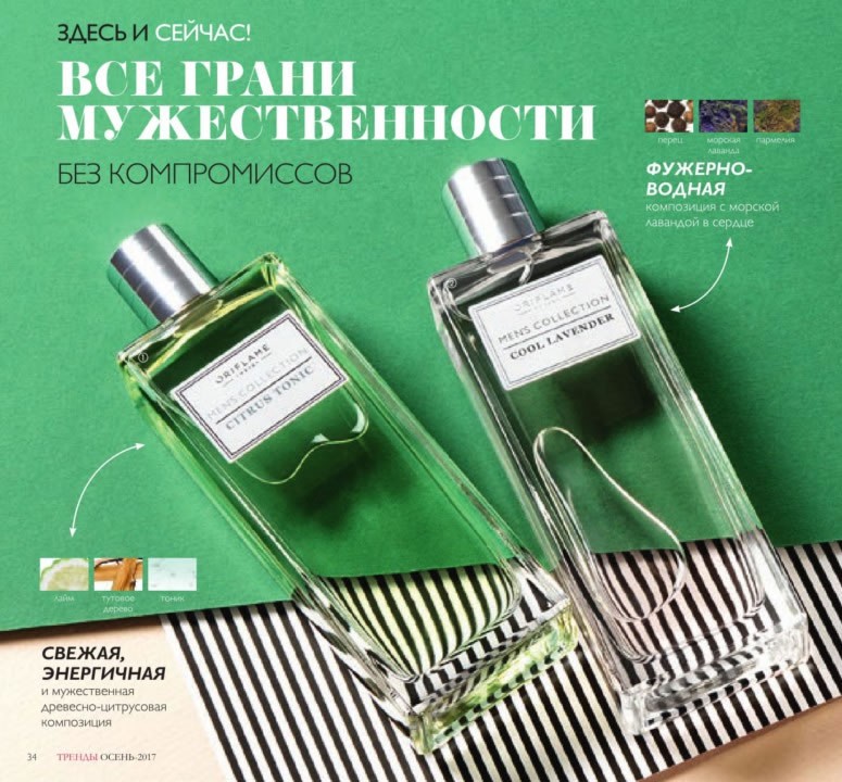 Mens Collection любой аромат