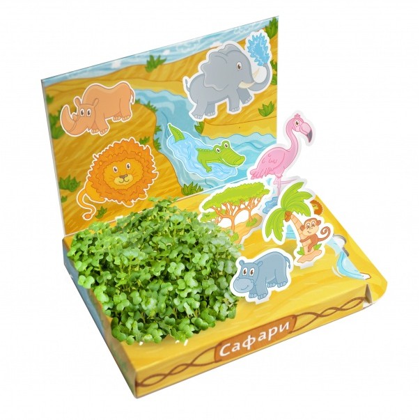 Hps-215     - 123,55.jpg