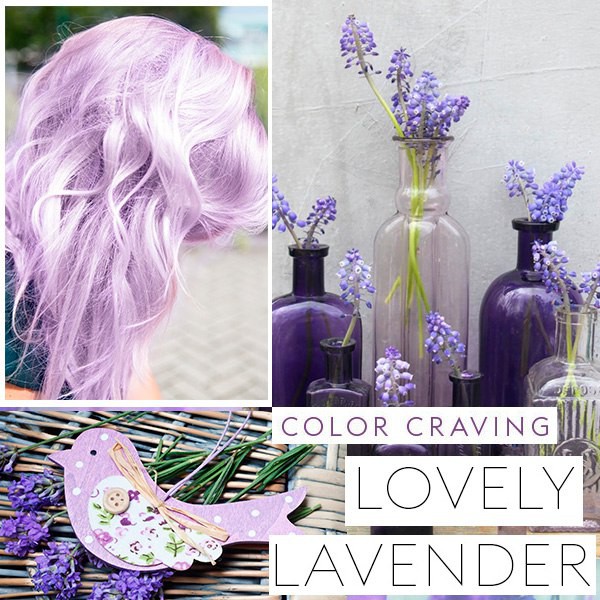 KEUNE COLOR CRAVING LOVELY LAVENDER -      150 -924 