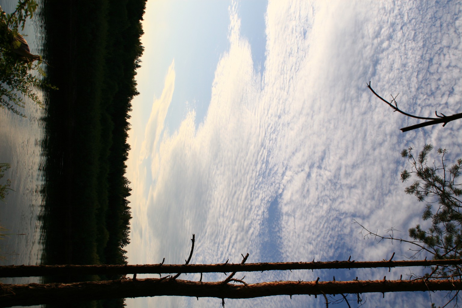 IMG 8570.JPG
