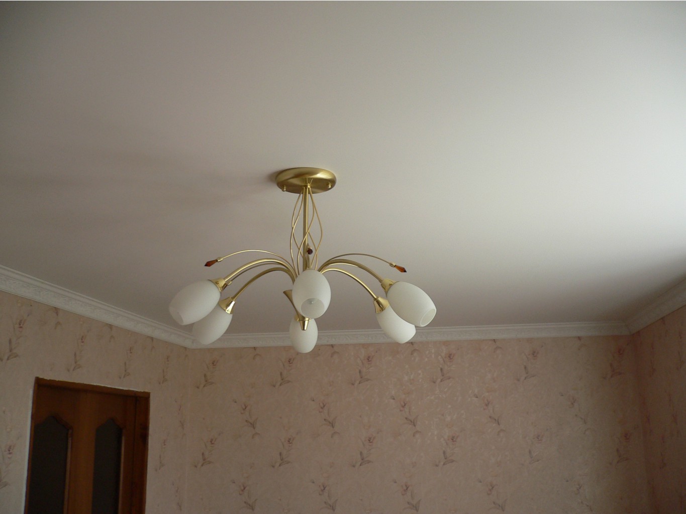 P1120160.JPG