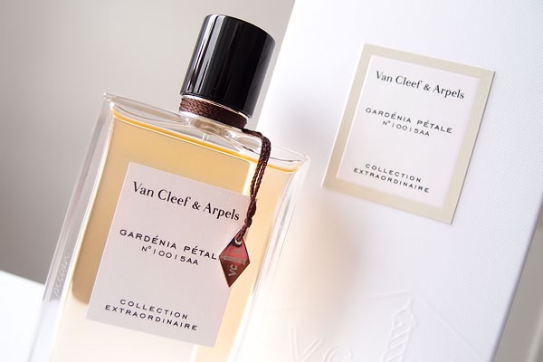 GARDENIA PETALE  VAN CLEEF  5060+%+