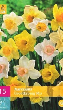 322.990,  (Narcissus) Large Cupped Mix, 14   , 24  1.jpg