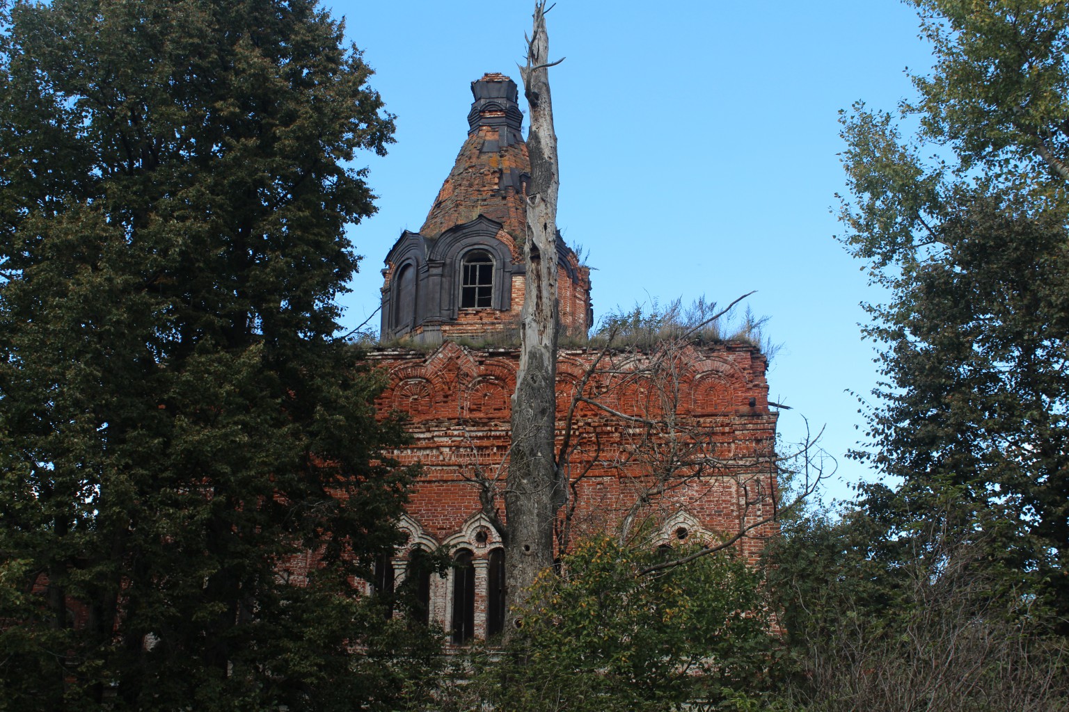 IMG 8503.JPG