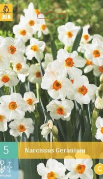 306.560,  (Narcissus) Geranium, 5   , 173+18%,   2 