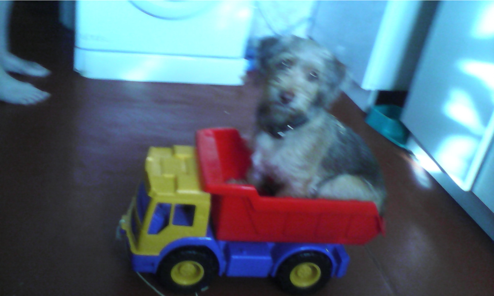 IMG 20150405 075807.jpg