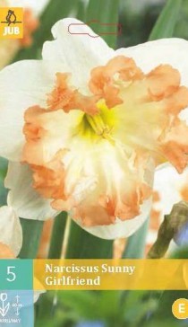 306.370,  (Narcissus) Sunny Girlfriend, 5   , 275+18%,   1.jpg
