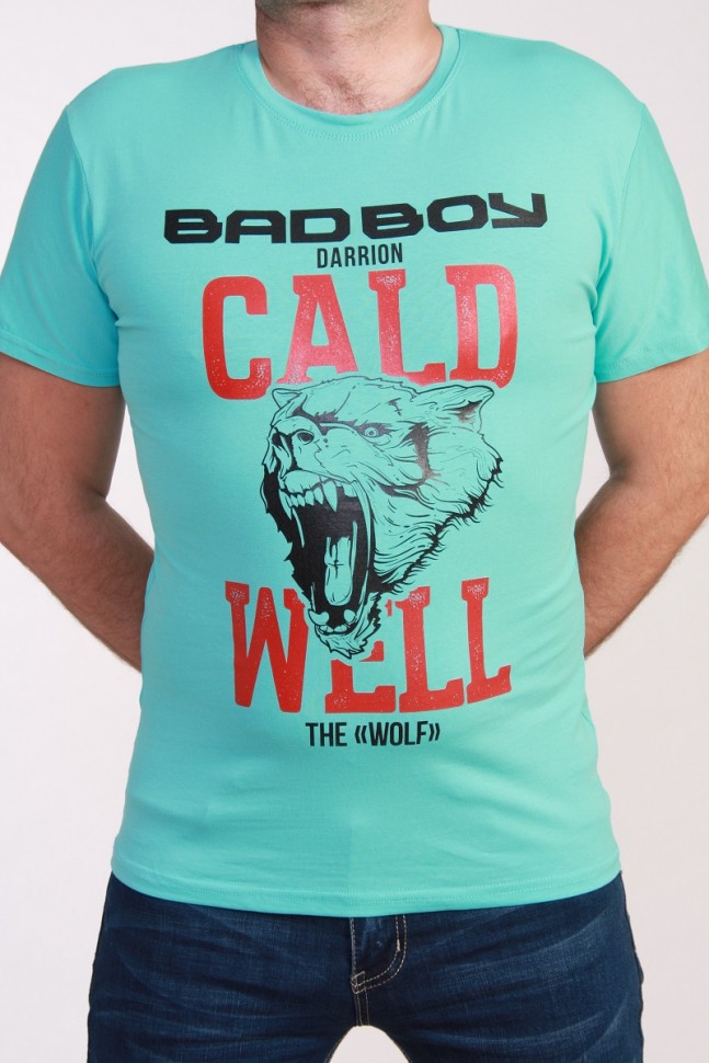 ф-174 бирюза, 240 p.