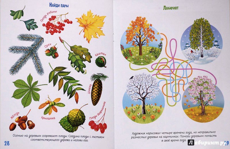 Играем во времена года,6.jpg