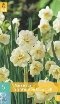 306.590,  (Narcissus) Sir Winston Churchill, 5   , 164+18%, 5 .jpg