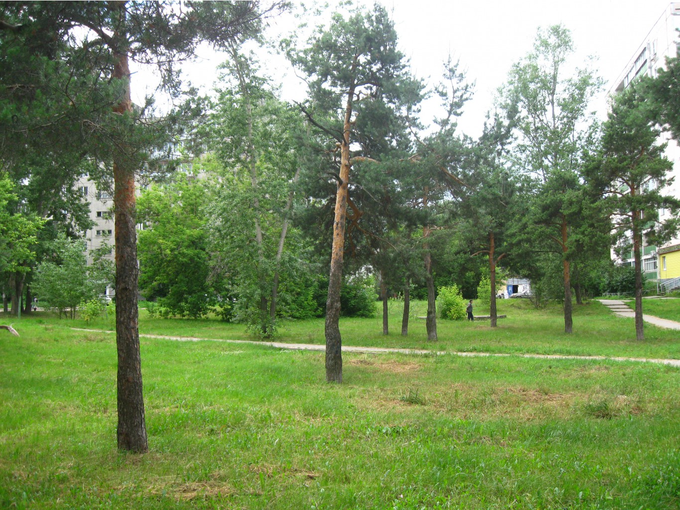 Picture 128.jpg