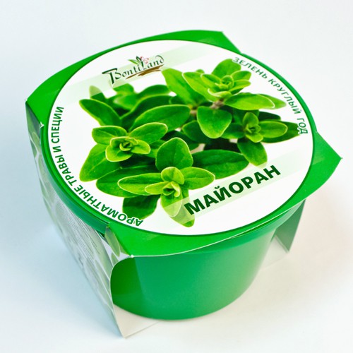 Майоран 76 руб