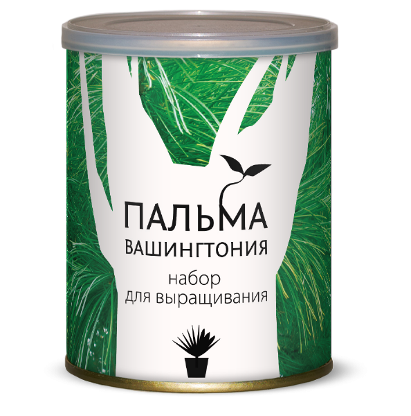 Растение В Банке Пальма Вашингтония 105 руб