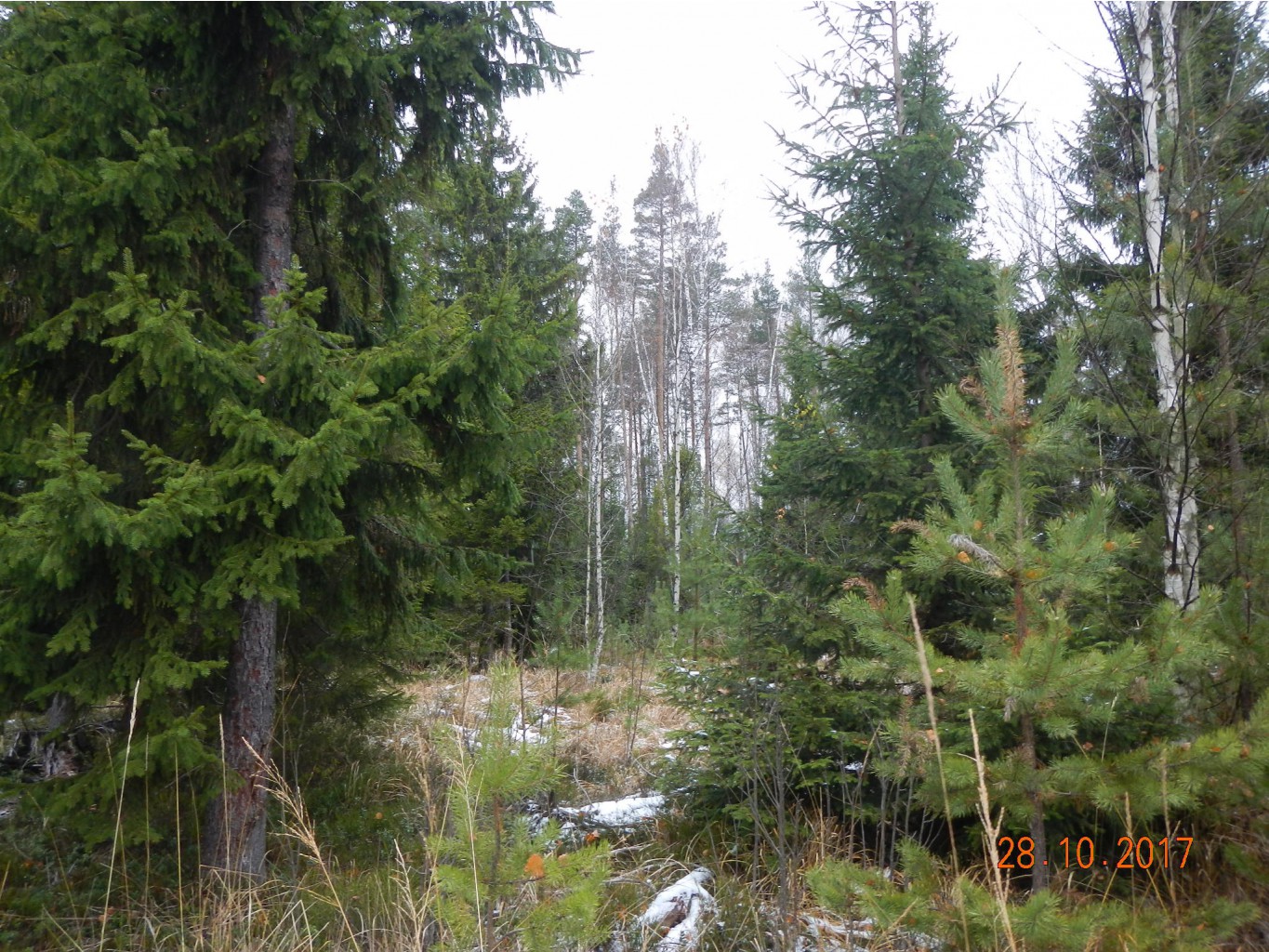 DSCN2853.JPG