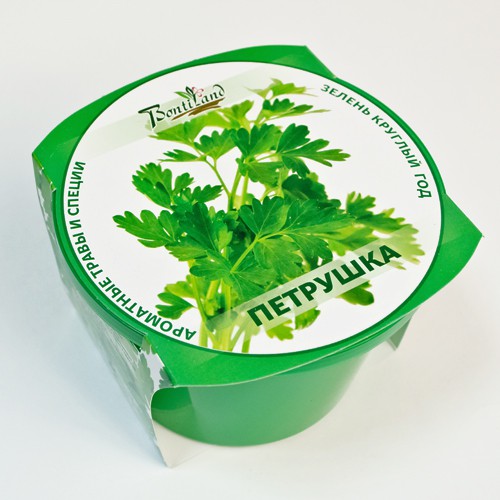 Петрушка 72 руб