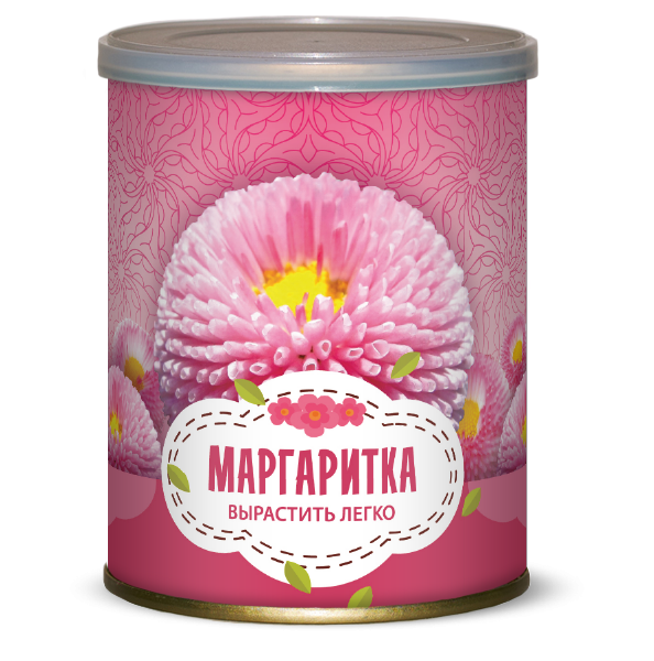 Цветок В Банке Маргаритка 87 руб