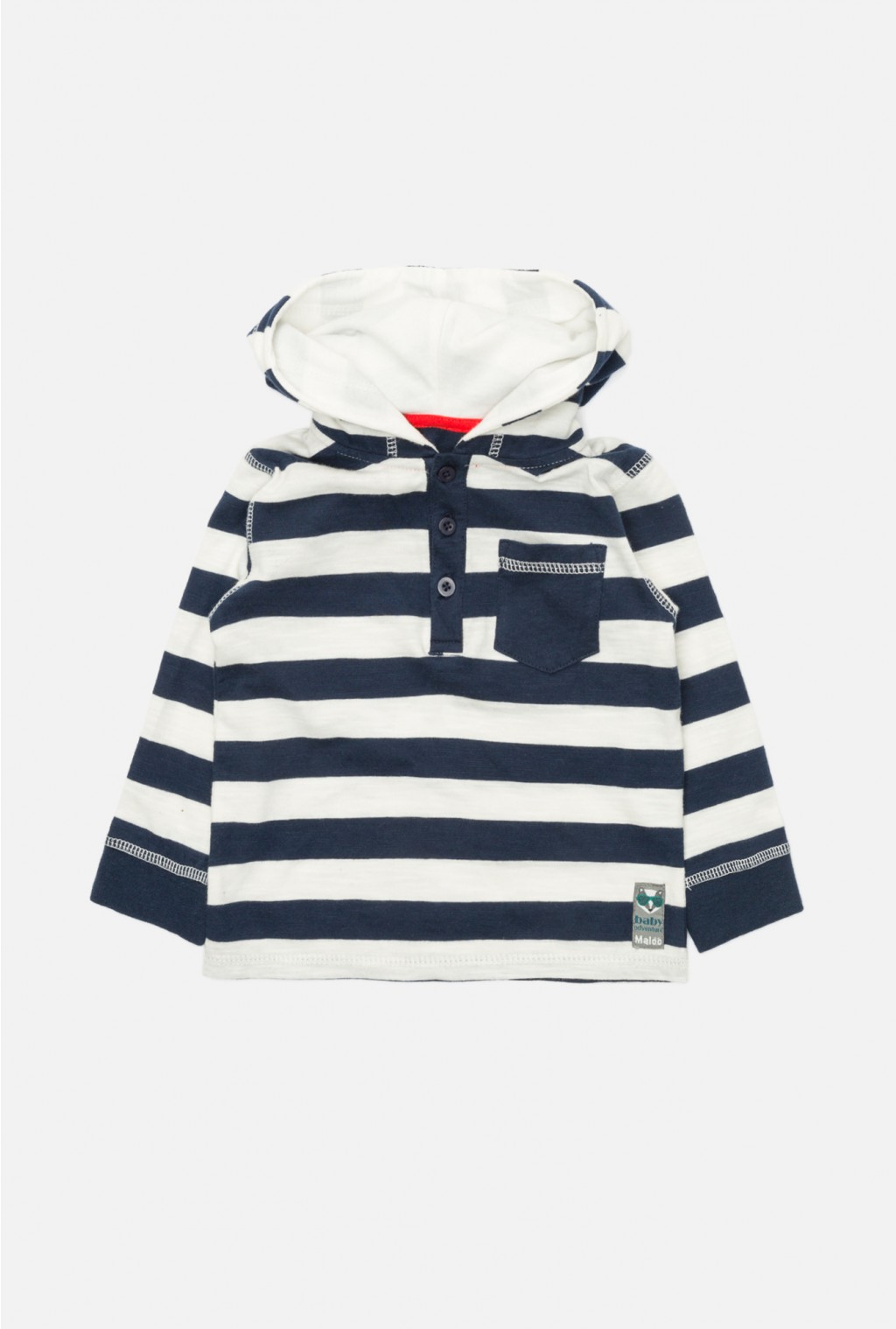 22150100017   Musca   .jpg