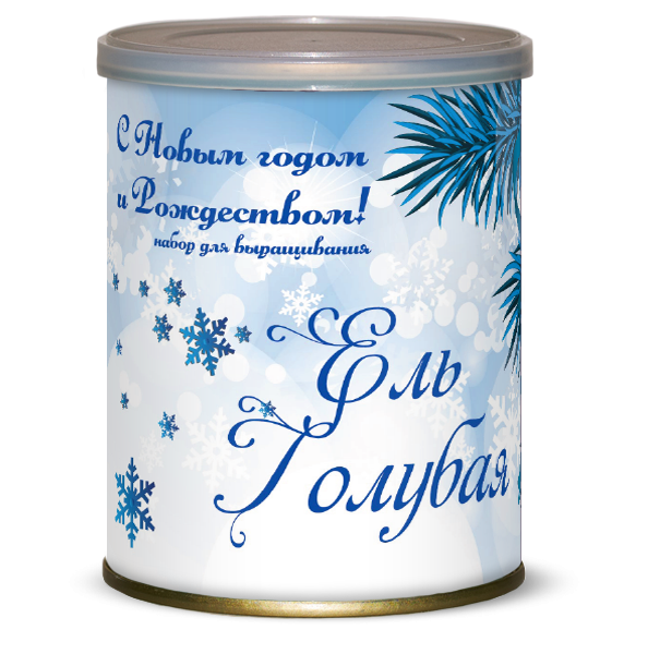 Растение В Банке Ель Голубая цена 105 руб