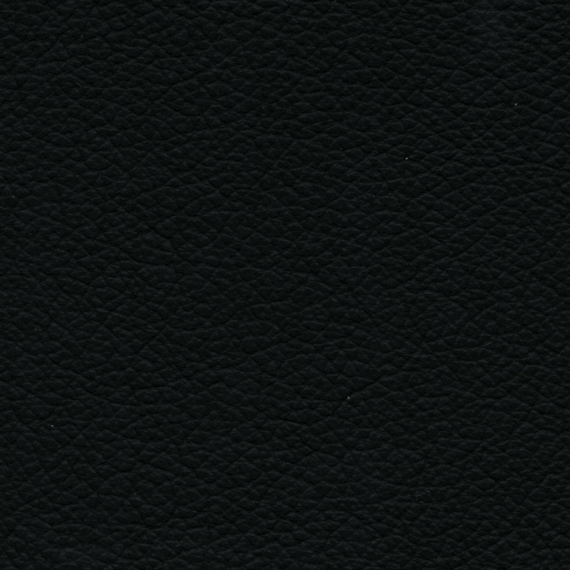 Holst Black.jpg