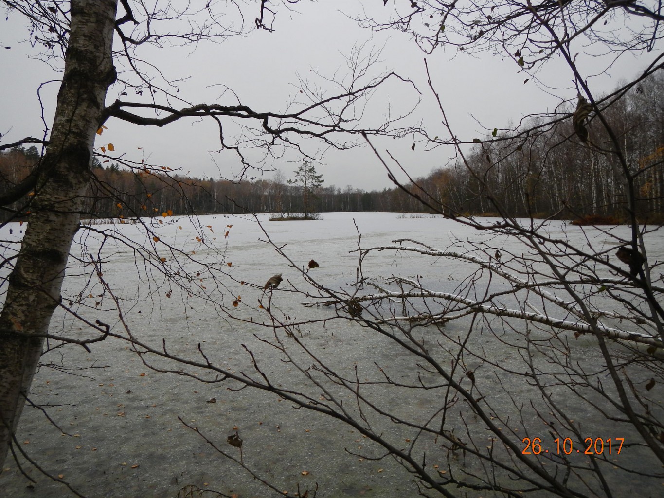 DSCN2806.JPG