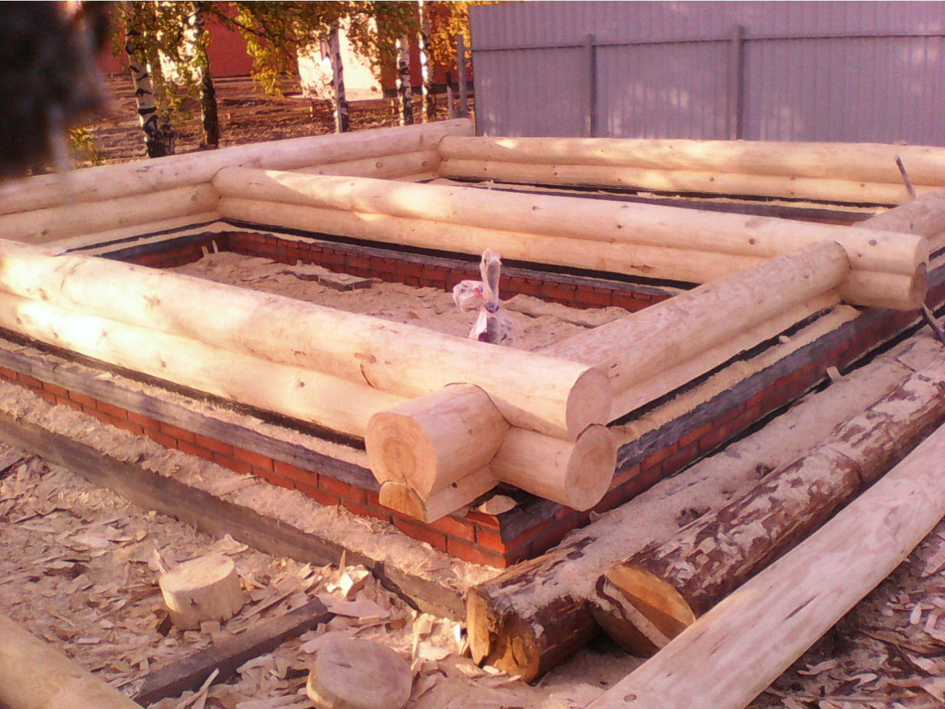 IMG 20171009 154842.jpg