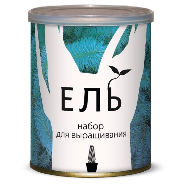 Растение В Банке Ель 105 руб