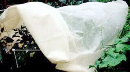           -  50 .  2 .  - 3305 ..jpg