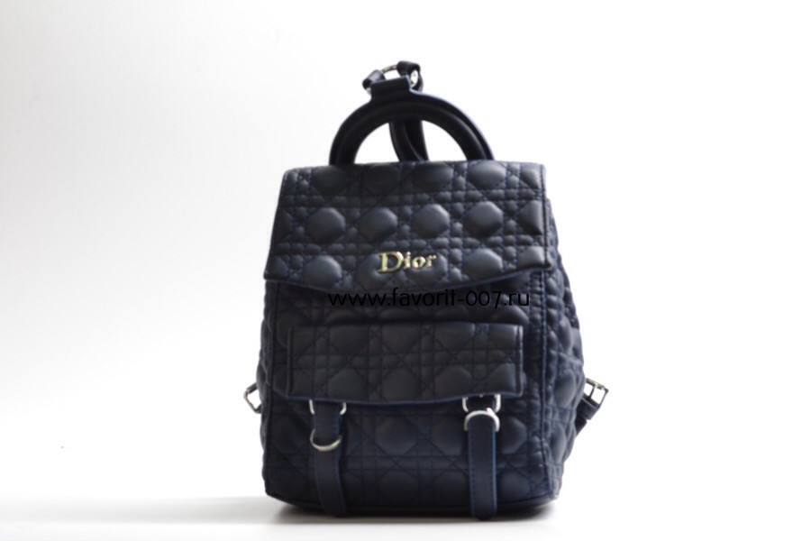  Cristian Dior r-Bags 10.jpg